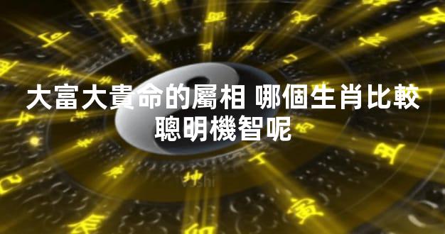 大富大貴命的屬相 哪個生肖比較聰明機智呢